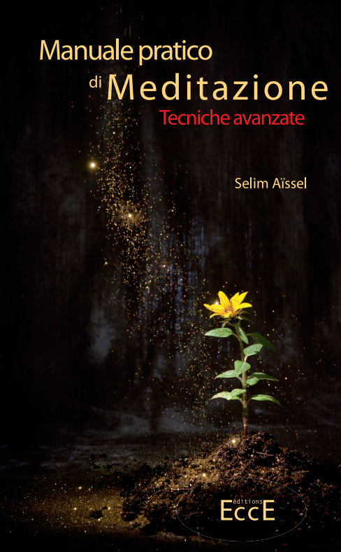 [9782351953754] Manuel Pratique de Méditation t2 ITALIEN, Selim Aïssel